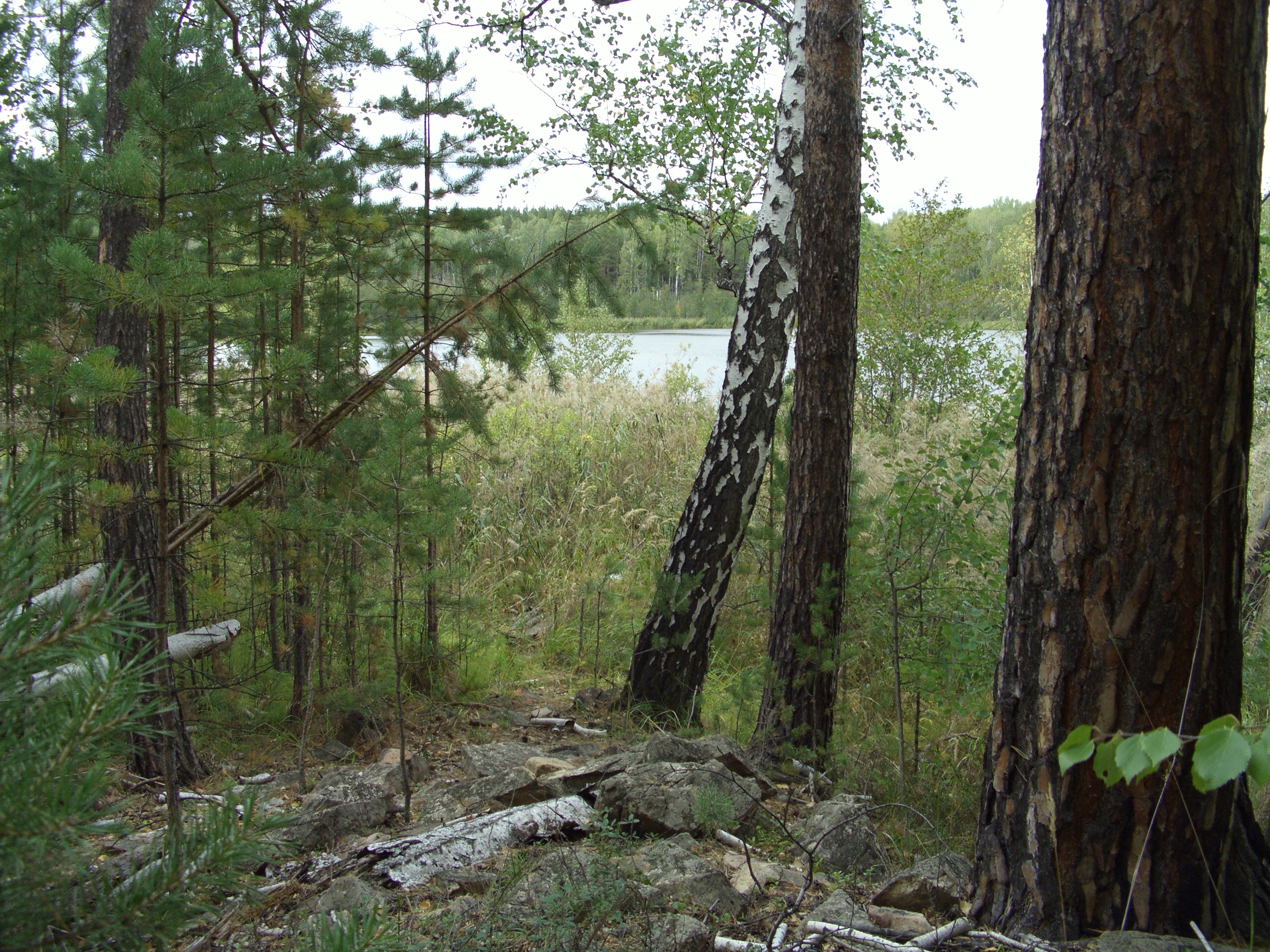 Аренда лесов челябинск. Поселок Наилы Челябинская область. Село запасное Челябинская область.