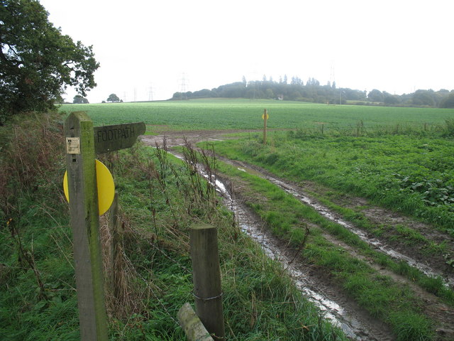 File:Field and Toothill - geograph.org.uk - 265399.jpg