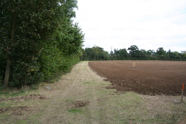 File:Field edge on Ermine Street - geograph.org.uk - 976674.jpg