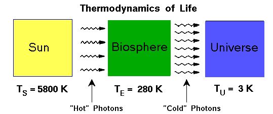 File:Fig.2 Life on Earth-Flow of Energy and Entropy.gif
