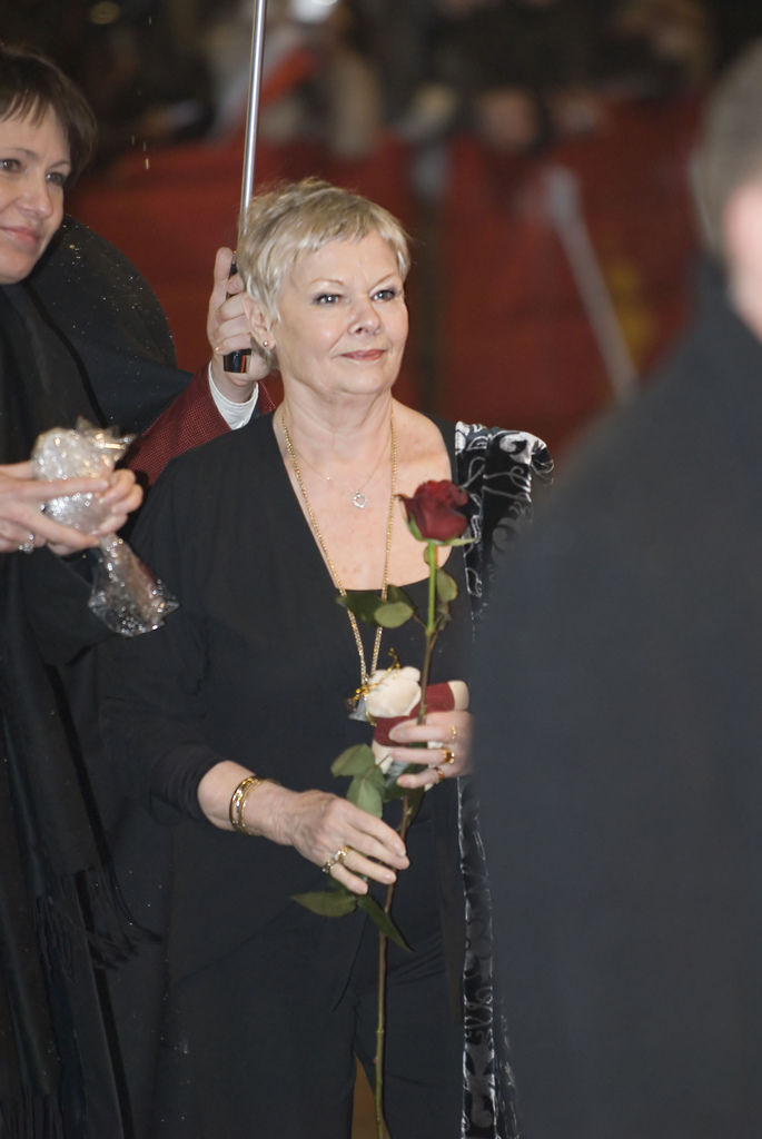 File:Flickr - Siebbi - A rose for Dame Judi Dench.jpg - Wikimedia Commons