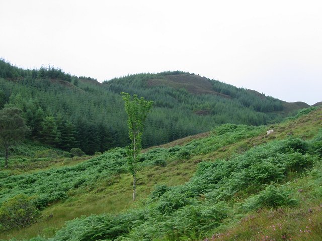 File:Gleann Ban - geograph.org.uk - 41743.jpg