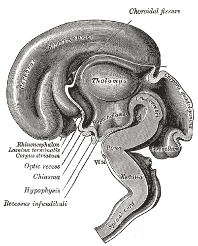 File:Gray654.png