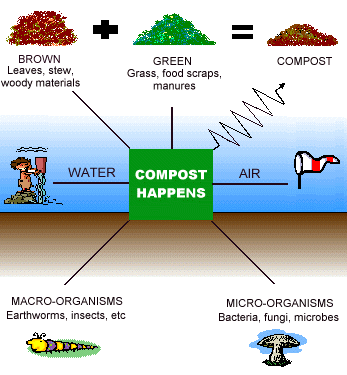 Image result for compost
