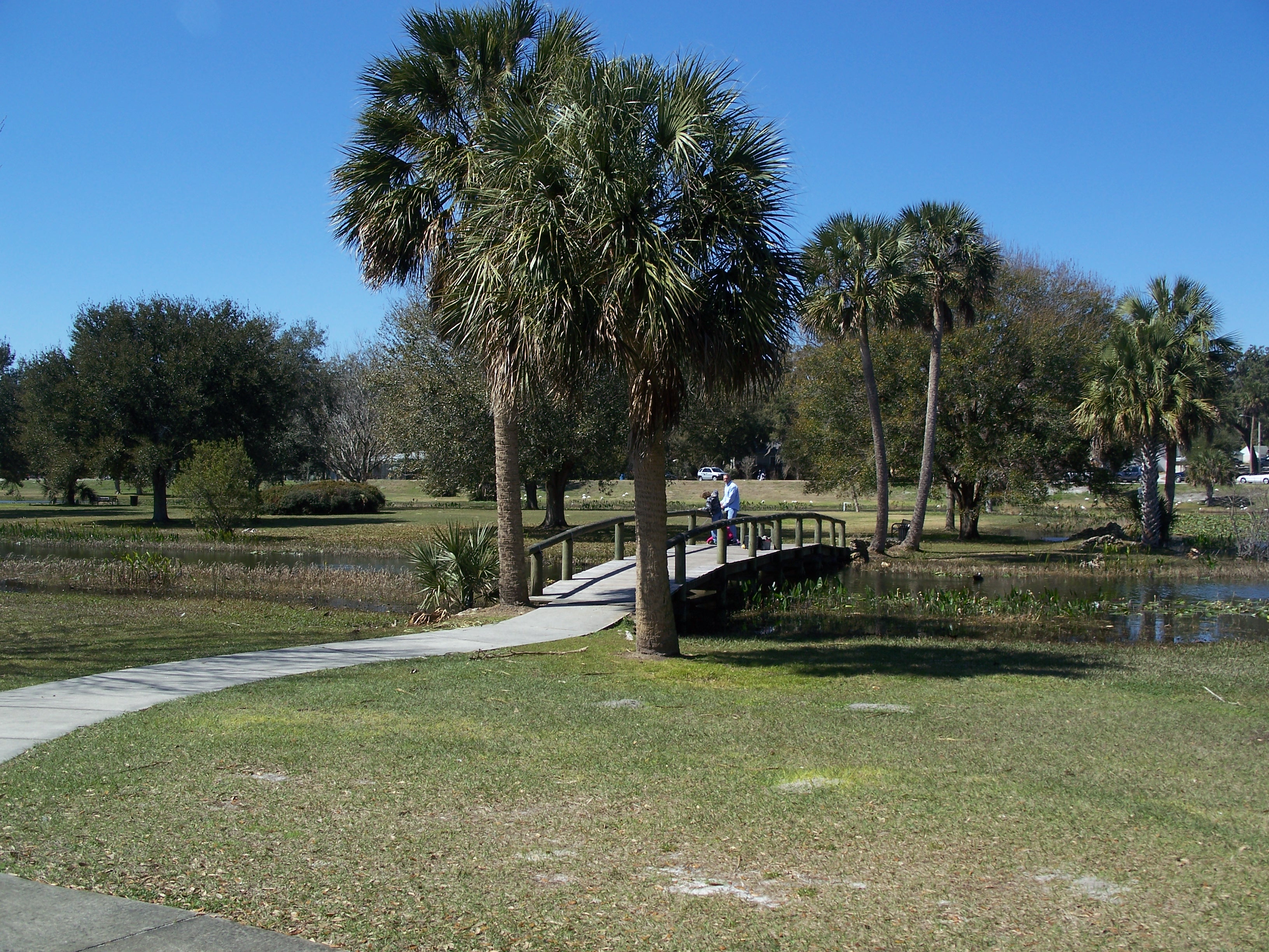 File Leesburg Fl Venetian Gardens Bridge03 Jpg Wikimedia Commons