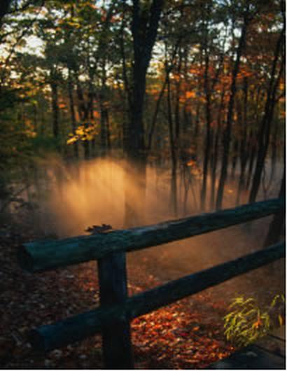 File:Misty Fence Post (4977360920).jpg