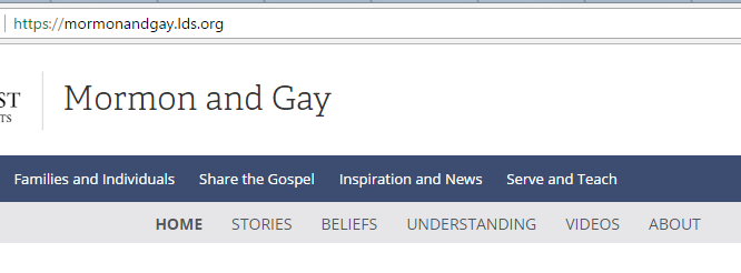 File:Mormon and Gay Website.png