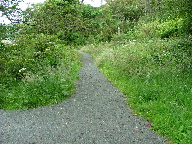 Newly laid path in Uig Wood - geograph.org.uk - 2496810