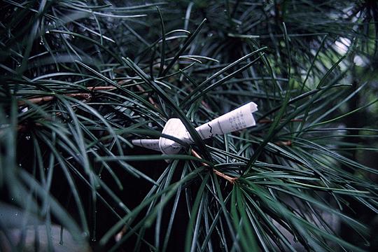 File:Omikuji, Nikkō Tōshō-gū (1992-10 by sodai-gomi).jpg