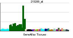 File:PBB GE SYP 213200 at tn.png