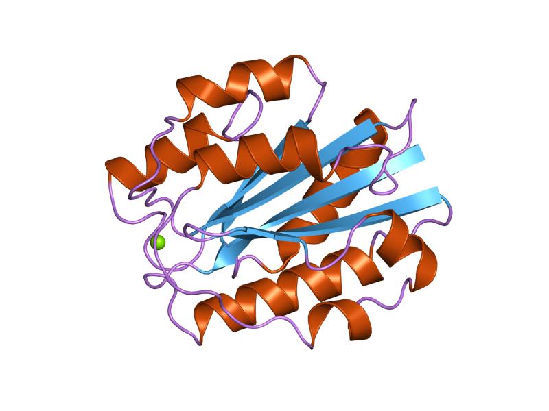 File:PDB 1ido EBI.jpg