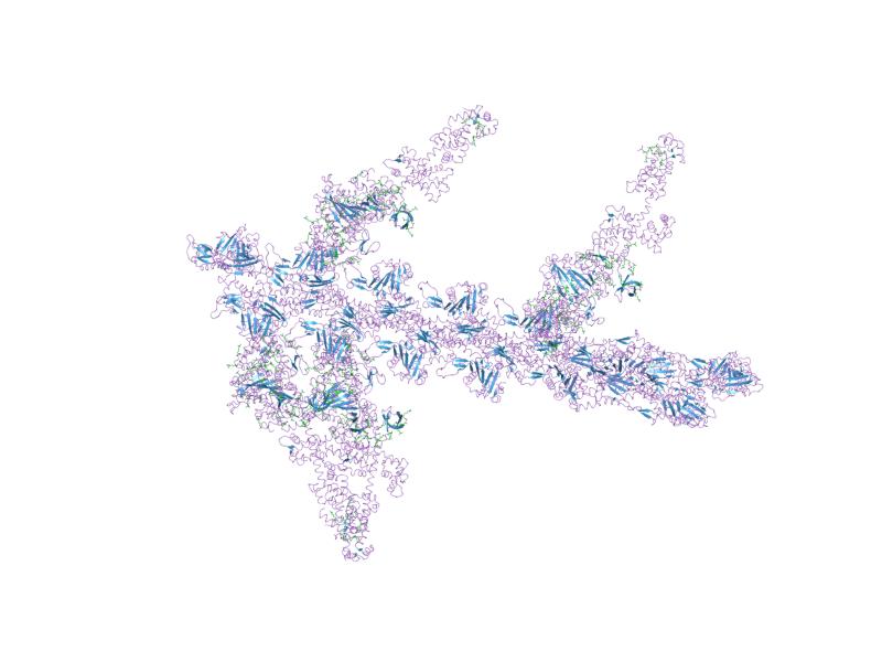 File:PDB 1m8q EBI.jpg