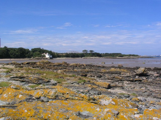 File:Penrhos Coastal Park - geograph.org.uk - 41963.jpg