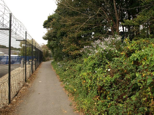 File:Plym Valley Trail - geograph.org.uk - 1526249.jpg