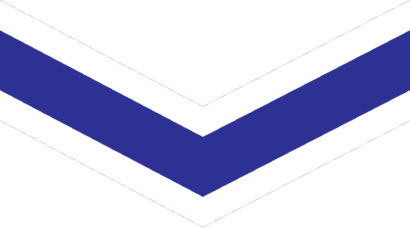 File:Police Lance Corporal MPF.png