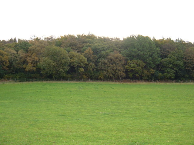 Raincliffe Woods - geograph.org.uk - 1547078