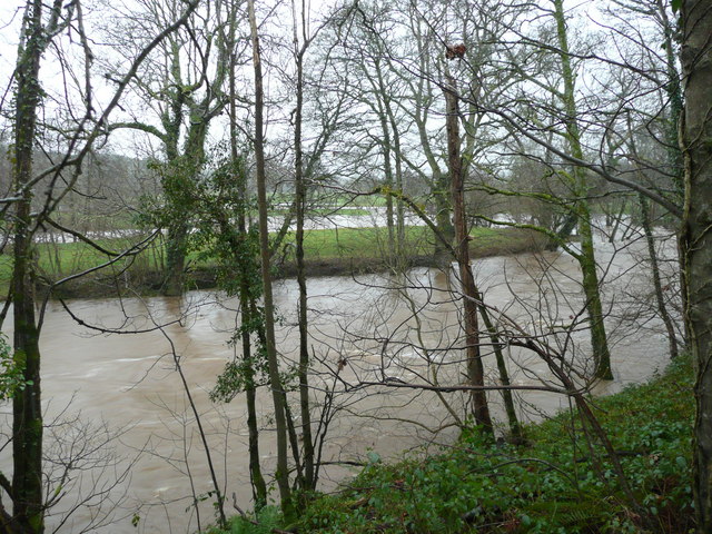 File:River Taw meanders in flood, 1 - geograph.org.uk - 665132.jpg