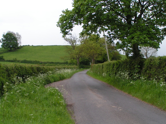 https://upload.wikimedia.org/wikipedia/commons/7/75/Somerset_country_lane_-_geograph.org.uk_-_1306925.jpg