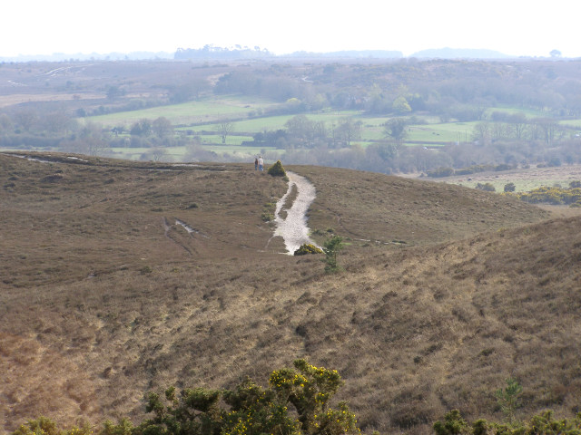 Thompson's Castle from Hampton Ridge, New Forest - geograph.org.uk - 158349