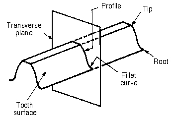 Profile of a spur gear