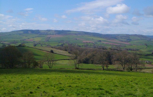 File:Upcott Wood - geograph.org.uk - 1610277.jpg