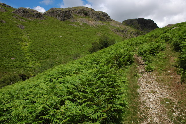 Upper Eskdale above Lingcove Bridge - geograph.org.uk - 526980