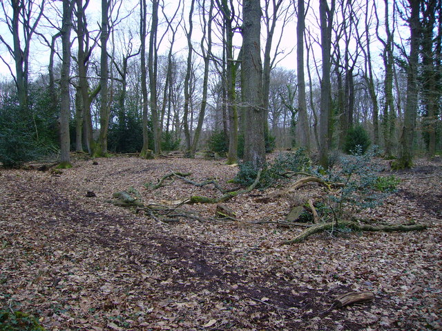 Valley Park Woodlands