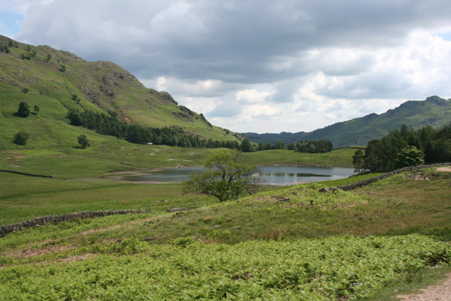 File:View south towards Blea Tarn - geograph.org.uk - 846757.jpg