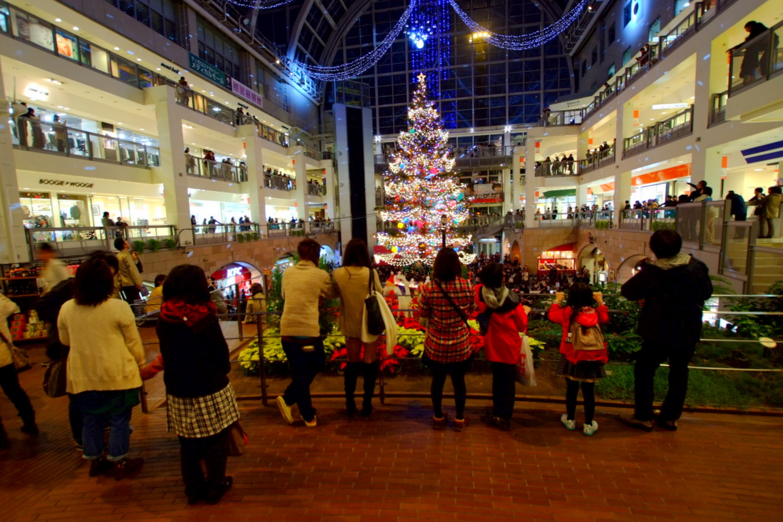 File サッポロファクトリー ジャンボクリスマスツリー Sapporo Factory Panoramio 1 Jpg Wikimedia Commons