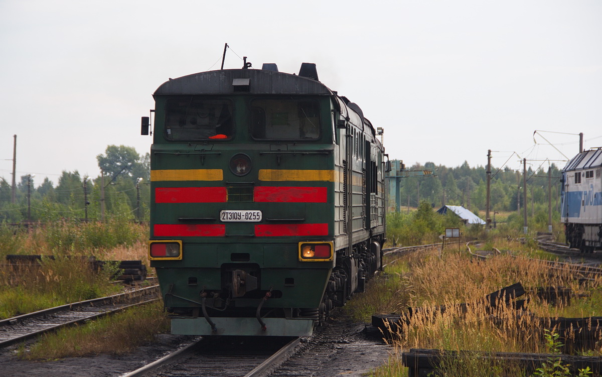 2тэ10у Коноша. Станция Коноша 2. 2тэ10у Архангельск. Депо Коноша.