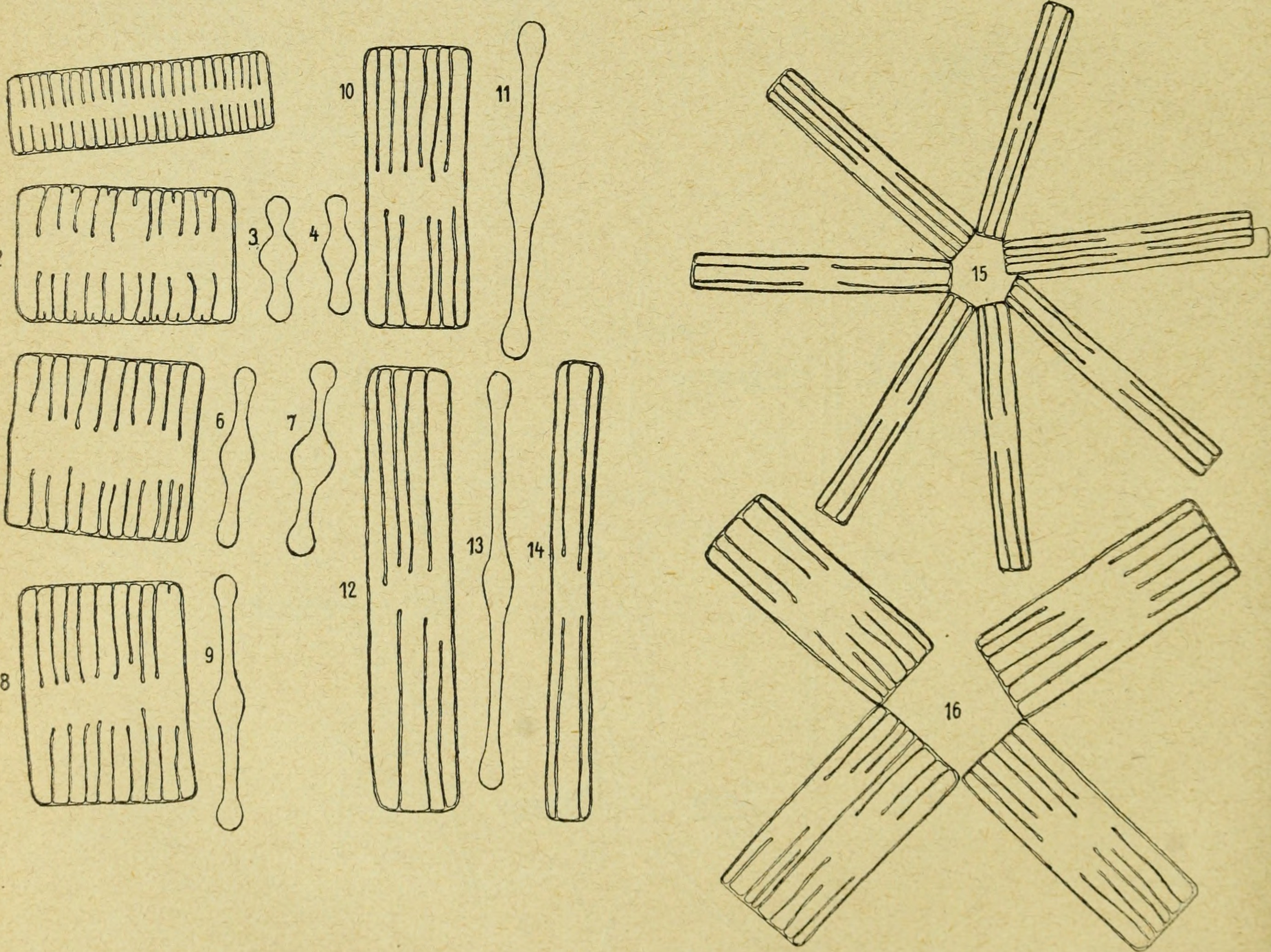 File Archives Des Sciences Physiques Et Naturelles 1908 Jpg Wikimedia Commons