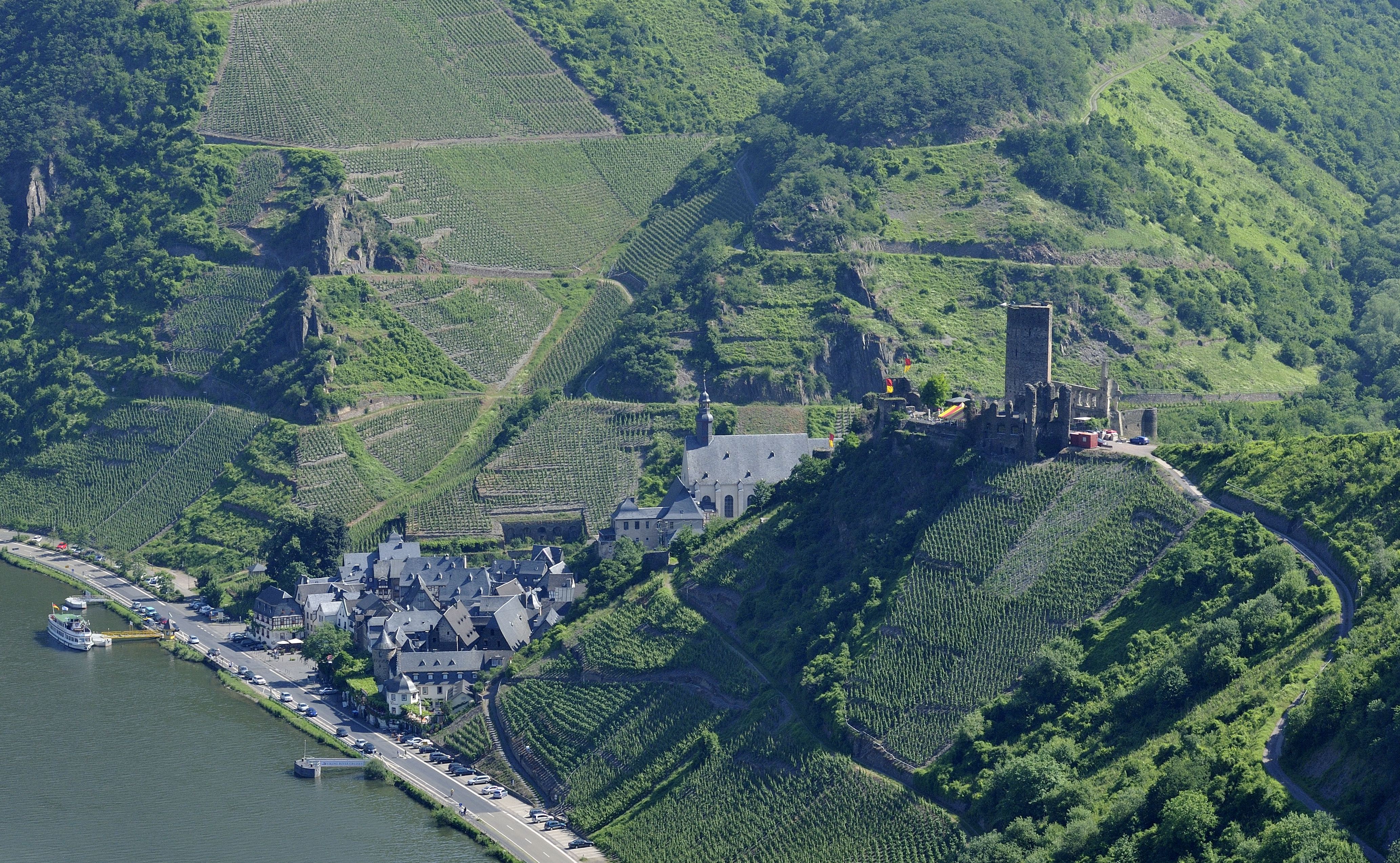 Burg Metternich (By wikimedia)