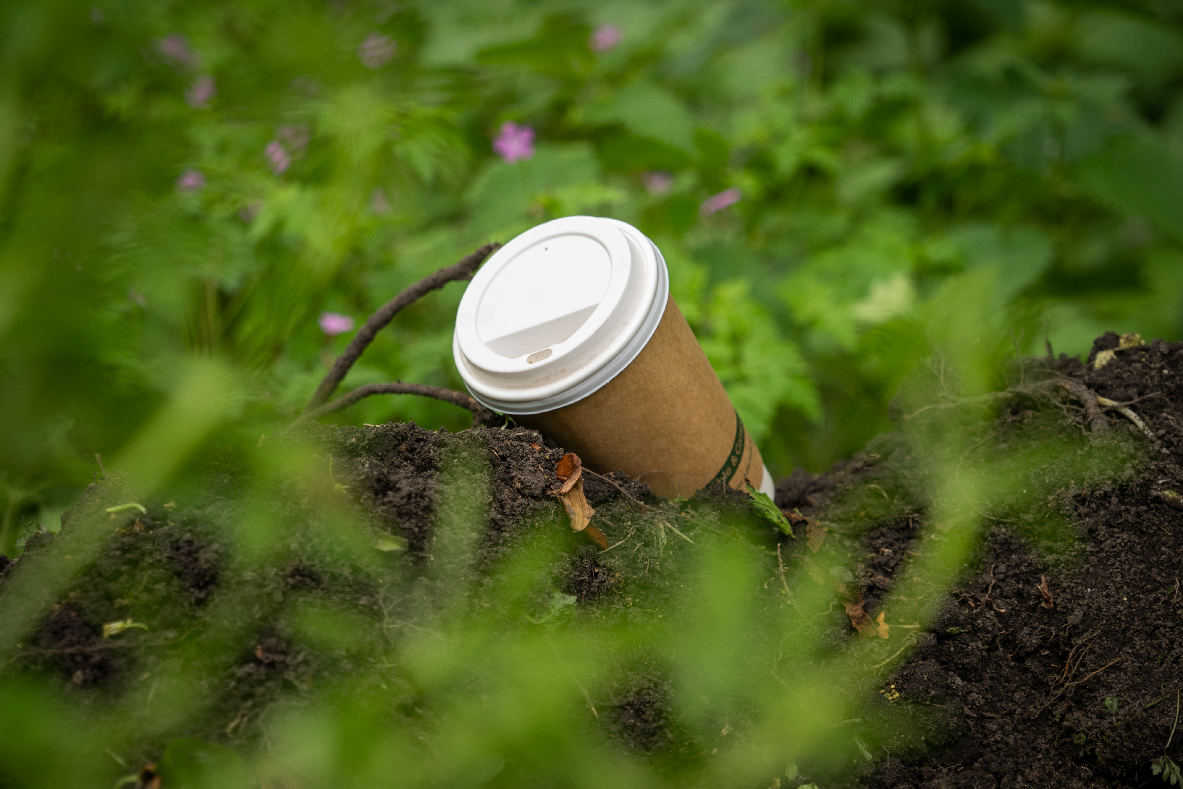 https://upload.wikimedia.org/wikipedia/commons/7/76/Biodegradable_Coffee_Cup_in_the_Woods.jpg