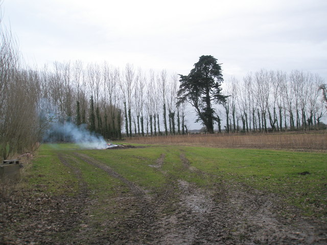 File:Bonfire at Southbourne Orchard - geograph.org.uk - 649769.jpg