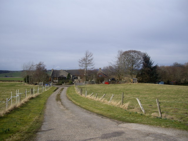 File:Cottages off B979 - geograph.org.uk - 1191734.jpg