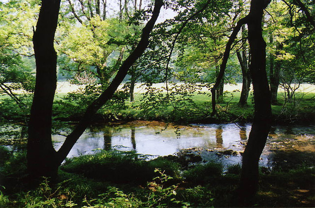 File:Dulverton, River Barle - geograph.org.uk - 46484.jpg