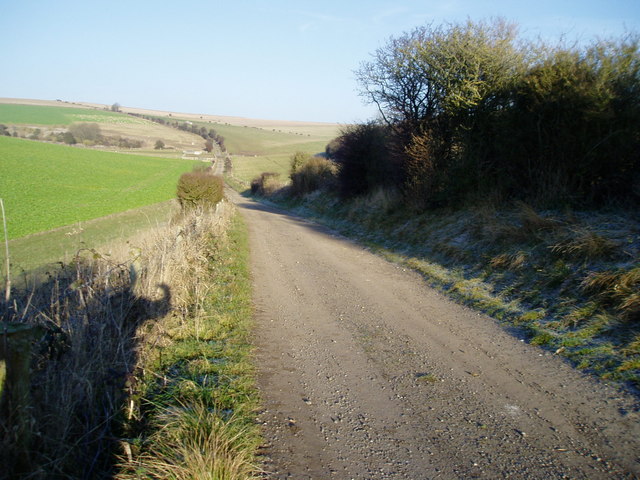 File:Farm track to Lychpole Bottom - geograph.org.uk - 1418270.jpg