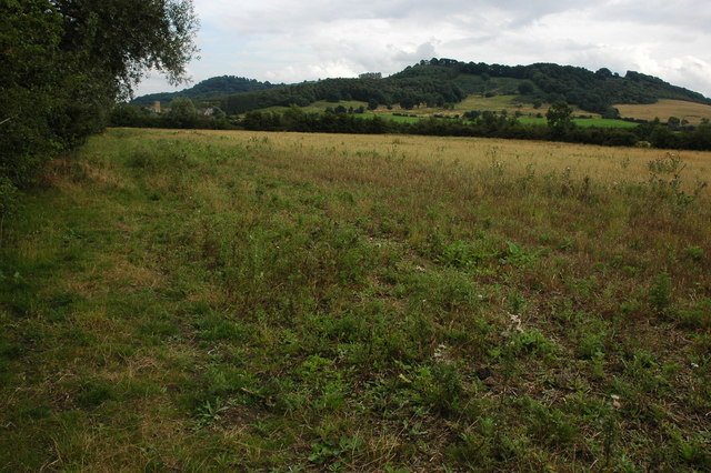 File:Farmland near Teddington - geograph.org.uk - 917595.jpg