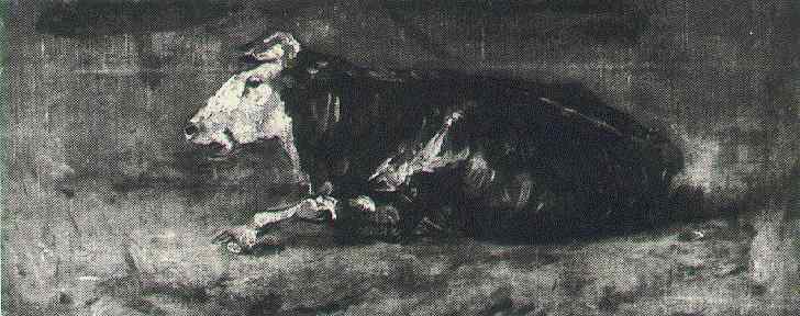 File:Lying Cow2.jpg