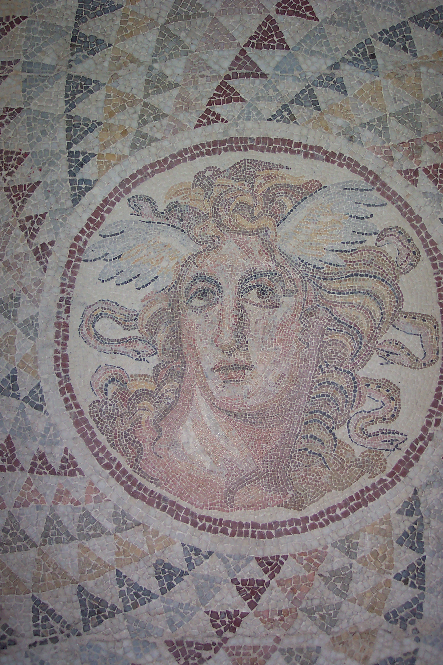 Medusa - Wikipedia