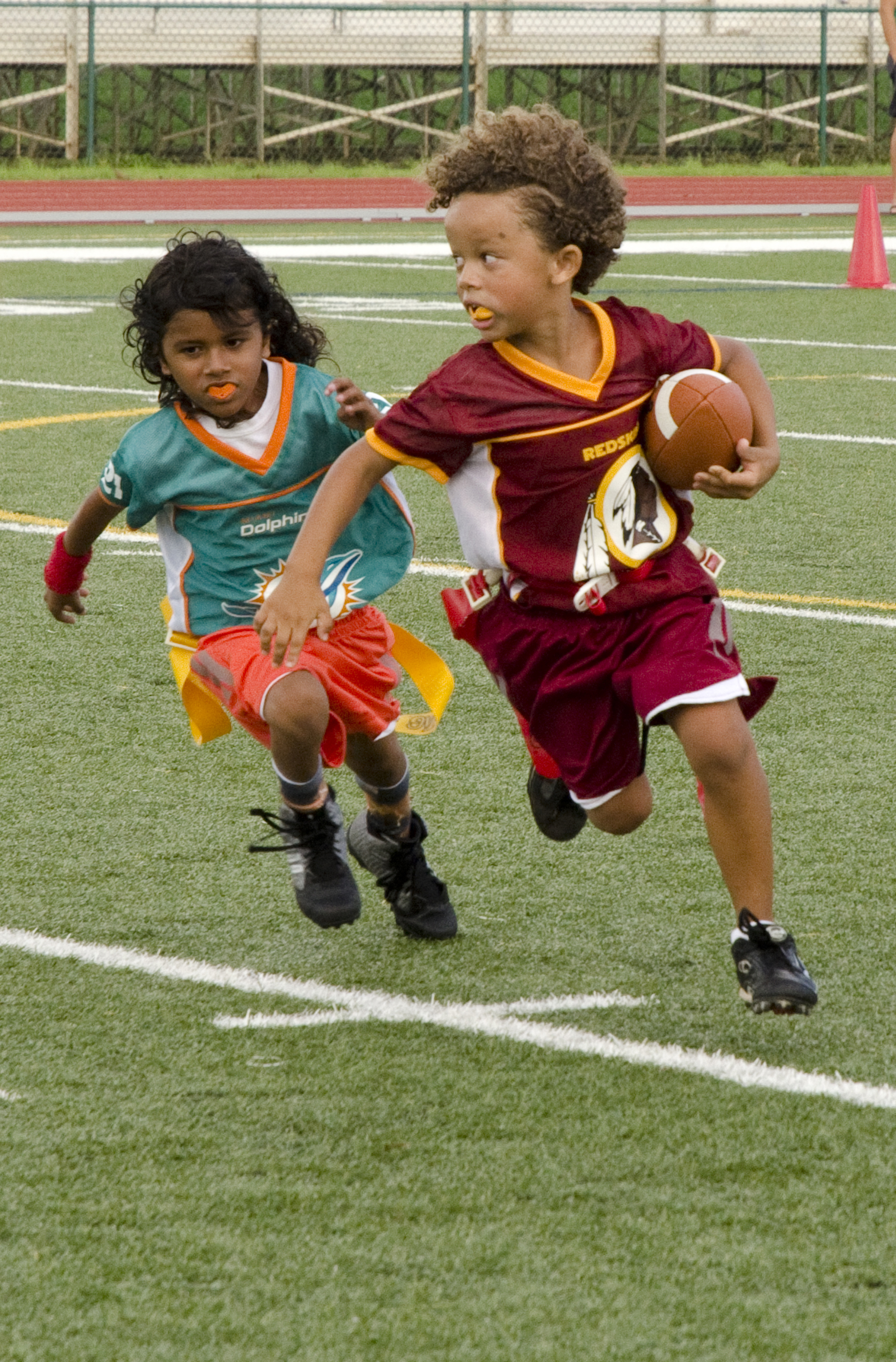 miami dolphins flag football