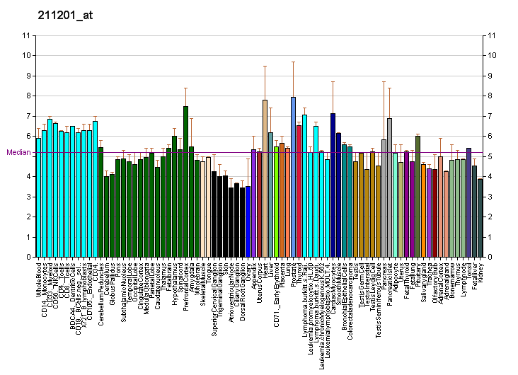 File:PBB GE FSHR 211201 at fs.png