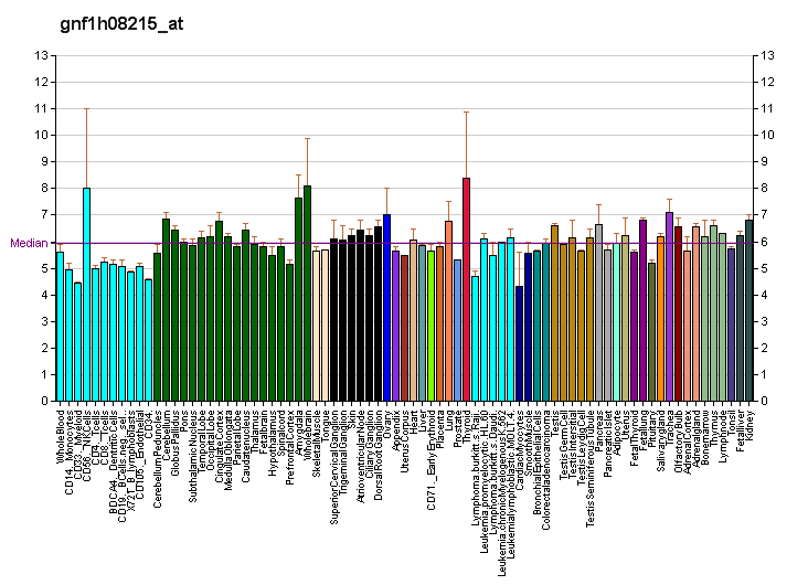 File:PBB GE KIAA1303 gnf1h08215 at fs.png