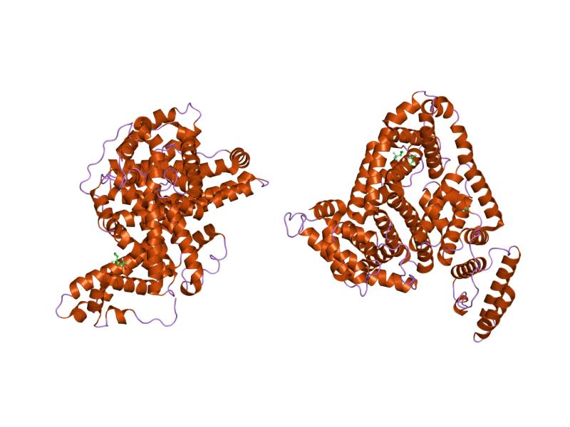 File:PDB 1e7b EBI.jpg