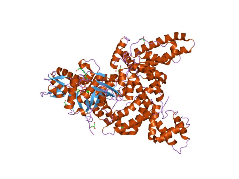 File:PDB 1lot EBI.jpg