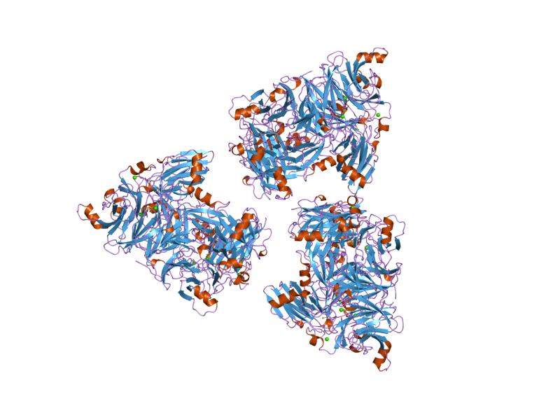 File:PDB 1qni EBI.jpg