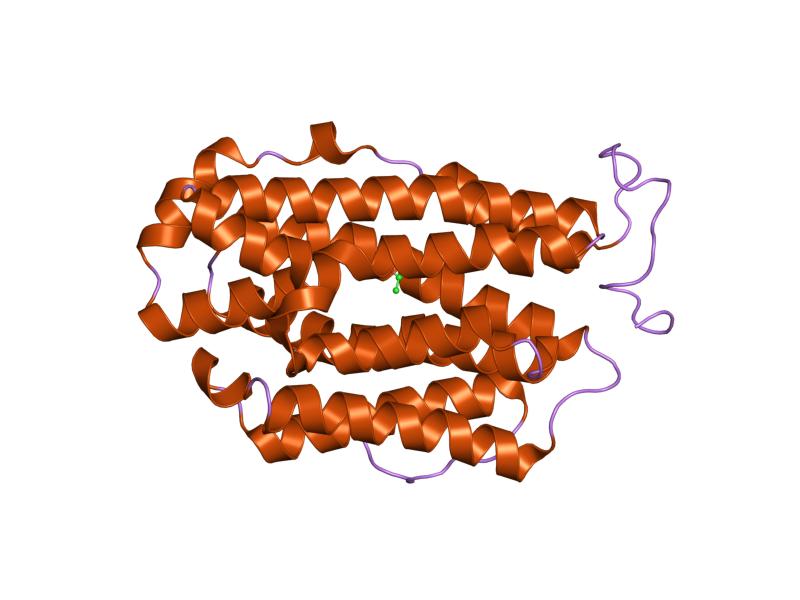 File:PDB 1w69 EBI.jpg