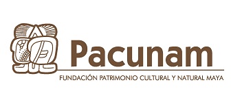 File:Pacunam logo.jpg