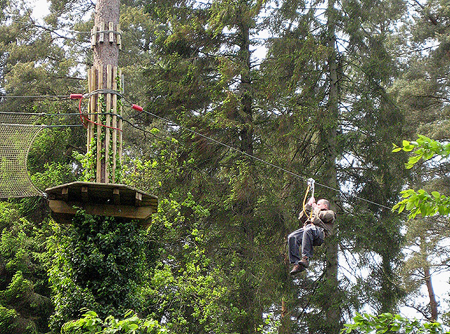 Participant in high wire forest adventure - geograph.org.uk - 815775