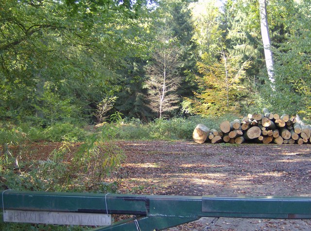 File:Private woodland - geograph.org.uk - 590507.jpg